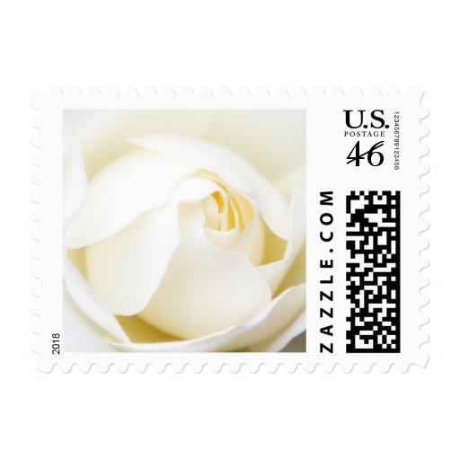 Romantic white rose wedding postage stamp