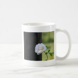 Romantic White Roses Coffee Mugs