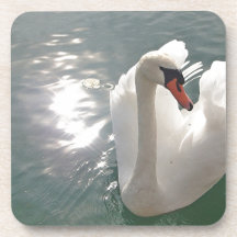 Romantic white swan beverage coasters