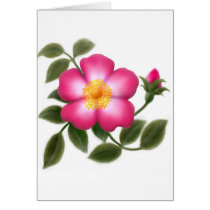 Romantic Wild Rose cards