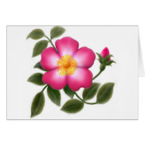 Romantic Wild Rose cards by CarolynMcFann Romantic Wild Rose cards