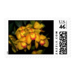 Romantic - Yellow Orchids  -Floral postage