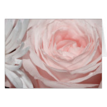 Romantica pink rose cards
