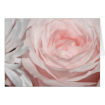Romantica pink rose cards