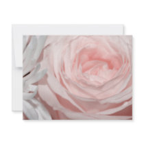 Romantica pink rose invitations