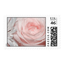 Romantica pink rose postage