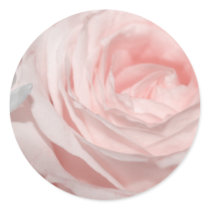 Romantica pink rose stickers