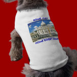 ROME 1 DESIGN BY MOJISOLA A GBADAMOSI OKUBULE pet clothing