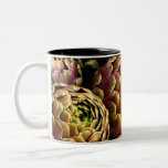 rome artichokes mug