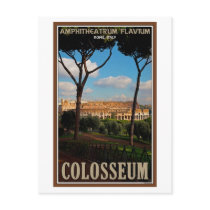 Rome - Colosseum from Palatine Hill Postcard
