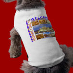 Rome Italy Today pet clothing