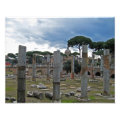 rome photoenlargement