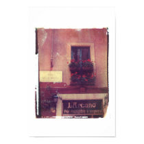 Rome Window with Geraniums posters by andymathis Rome Window with Geraniums posters