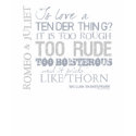 Romeo & Juliet Love Quote t-shirts