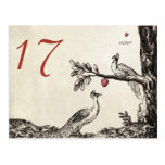 Romeo & Juliet - Peacock version postcards