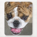 Romeo mousepads by wolfmountainstudio Romeo mousepads