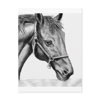 Romeo Post Cards by lucindaknowlton