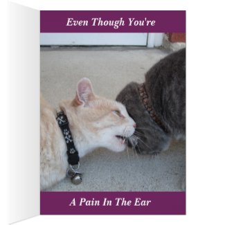 Romeo & Russ The Cats I'm Glad We're Friends..Card Greeting Card