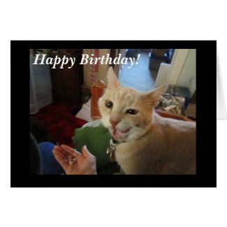 Romeo the Cat Happy Birthday Card