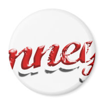 Romney '12 magnets