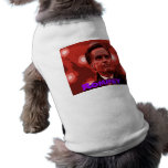 Romney 2012 pet clothing