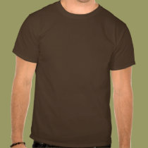 RomneyCare t-shirts