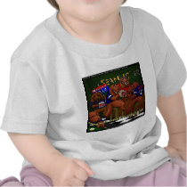 Romney's Irish Setters Funny Baby Tshirt t-shirts