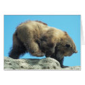 romping on the rocks cards by KatAnnette romping on the rocks cards