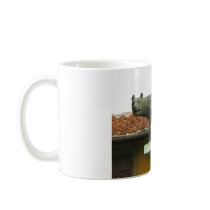 Romulus and Remus - Ancient Rome mugs