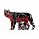 Romulus and Remus Postcard
