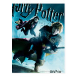 Ron and Ginny On Brooms 1 Post Cards