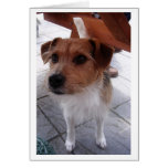 Ron Greeting Card