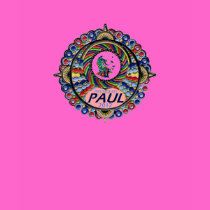 Ron Paul President 2012 t-shirts