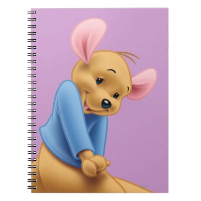 Roo 5 notebooks