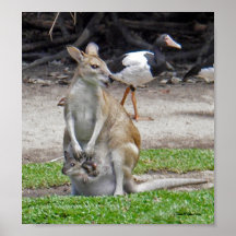 Roo and Joey Poster