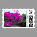 ROOF FLOWERS Photography USPS First-Class Stamp