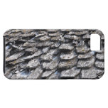 Roof texture iPhone 5 case