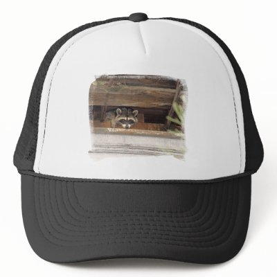 Roofie Raccoon Hat by buffaloworks