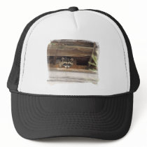 Roofie Raccoon Hat by buffaloworks Roofie Raccoon Hat