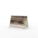 Roofie Raccoon Note cards