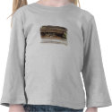 Roofie Raccoon Toddler Long Sleeve t-shirts