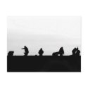 Roofing Postcard