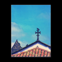 Rooftop Visitors : Funchal, Madeira (Portugal) postcards