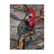 Roonkey postcard by Junglegeorge Roonkey postcard