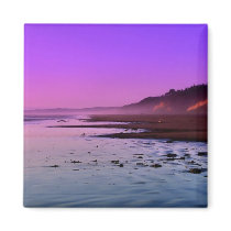 Roosevelt Beach magnets