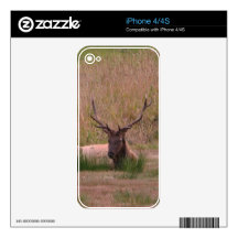 Roosevelt Bull Elk iPhone 4S Decals