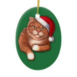 Roosevelt Christmas Ornament ornaments