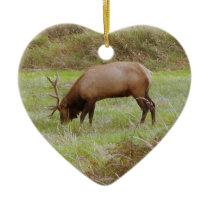 Roosevelt Elk Keepsake Ornament