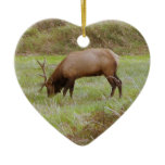 Roosevelt Elk Keepsake Ornament