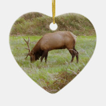 Roosevelt Elk Keepsake Ornament